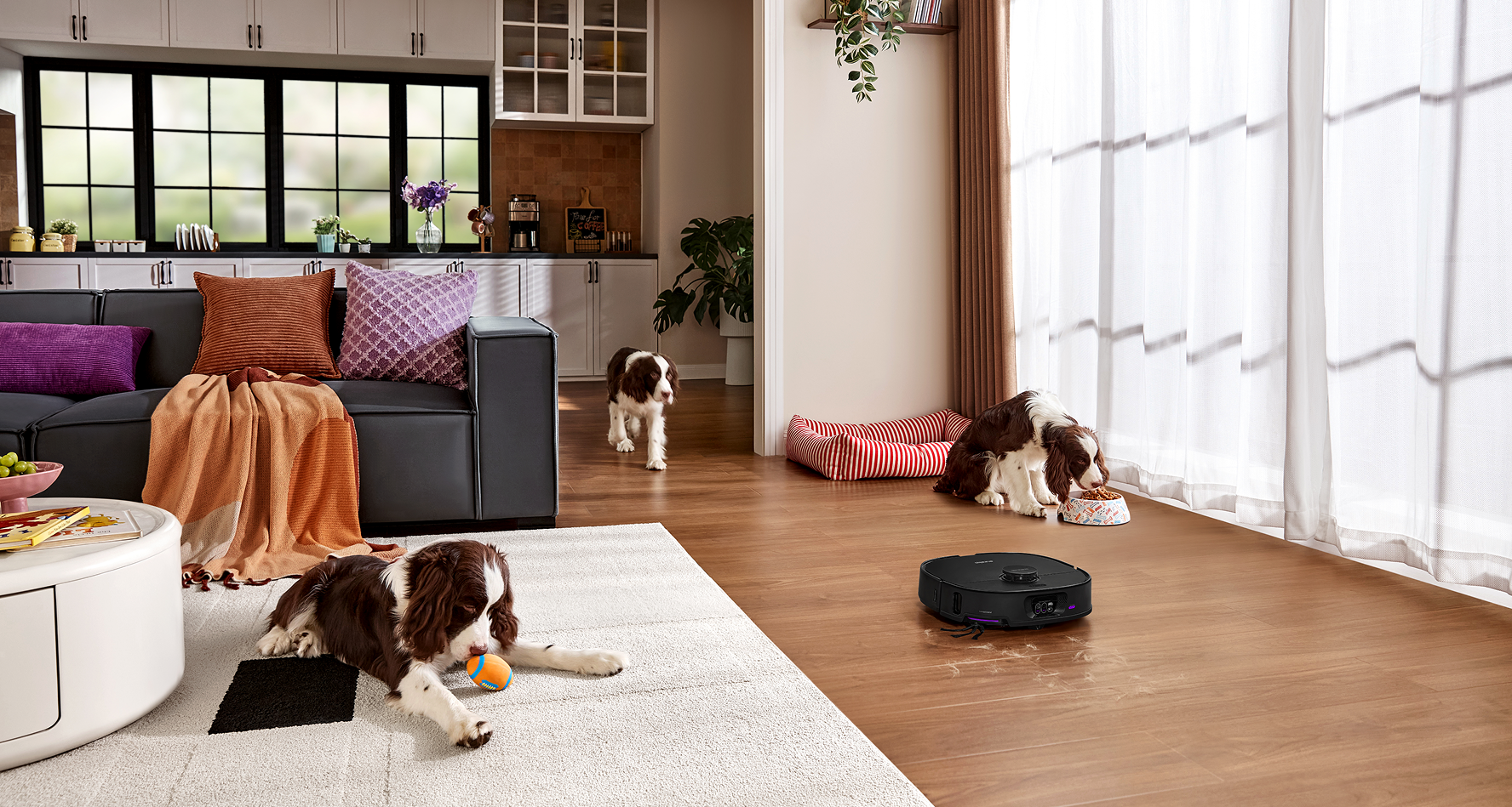 Haben Sie Probleme mit verfilzten Haaren? Finden Sie heraus, welcher Roboterstaubsauger dieses häufige Problem von Haustierbesitzern löst.