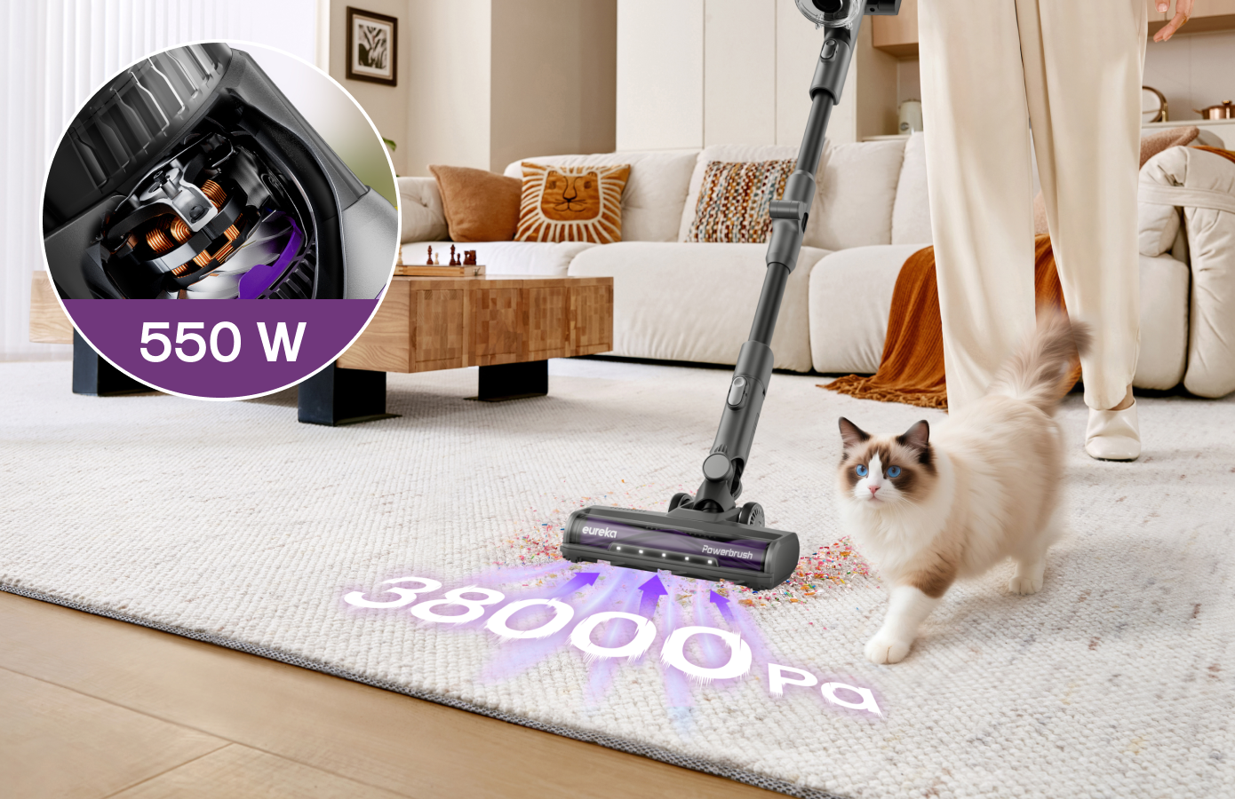 Mehrere Haustiere? So meistern Sie die Reinigung mit Hund und Katze