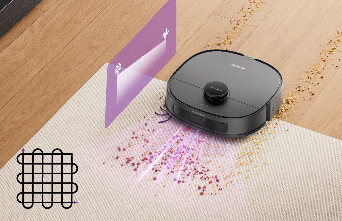 Experto en limpieza de alfombras